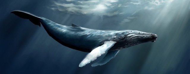 MMO-индустрия: Что движет китами?