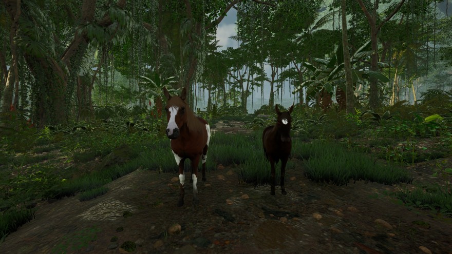 Mortal Online 2: Разные породы лошадей  отличаются не только внешним видом, но и характеристиками