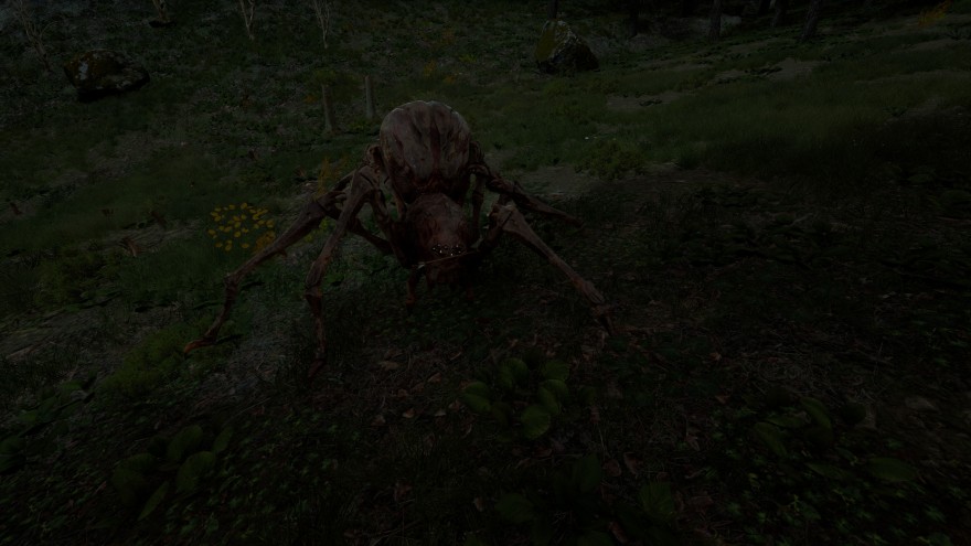 Mortal Online 2: Многовато глаз для одного паука